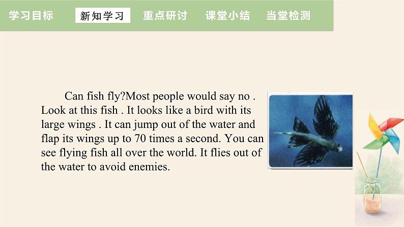 Unit 3 Lesson 14 Amazing Animals  课件 2023-2024学年冀教版英语八年级下册06