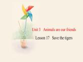 Unit 3 Lesson 17 Save the tigers  课件 2023-2024学年冀教版英语八年级下册