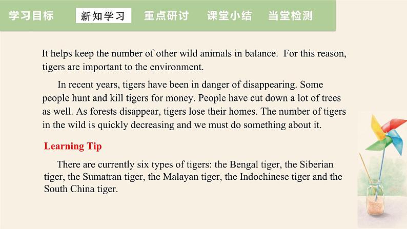 Unit 3 Lesson 17 Save the tigers  课件 2023-2024学年冀教版英语八年级下册05