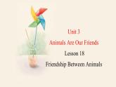 Unit 3 Lesson 18 Friendship Between Animals  课件 2023-2024学年冀教版英语八年级下册