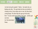 Unit 3 Lesson 18 Friendship Between Animals  课件 2023-2024学年冀教版英语八年级下册