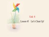 Unit 8 Lesson 43 Let’s Clean Up!  课件 2023-2024学年冀教版英语八年级下册