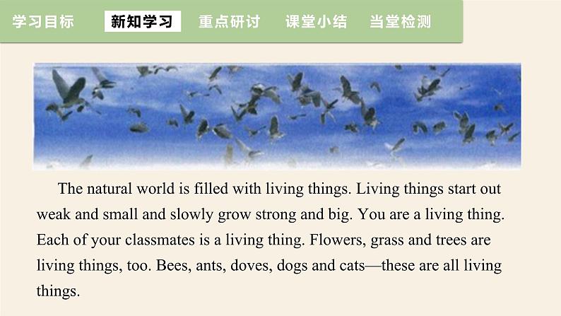 Unit 8 Lesson 47 Connected to Nature  课件 2023-2024学年冀教版英语八年级下册04