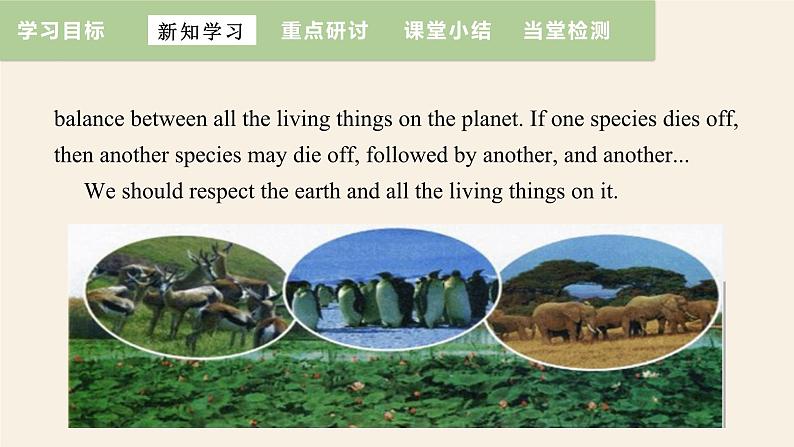 Unit 8 Lesson 47 Connected to Nature  课件 2023-2024学年冀教版英语八年级下册06