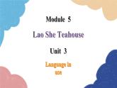 外研版英语八年级上册Module 5 Unit 3 Language in use课件