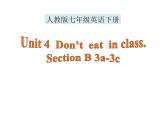 Unit 4 Section B+3a-3c++课件+2023-2024学年人教版七年级英语下册+