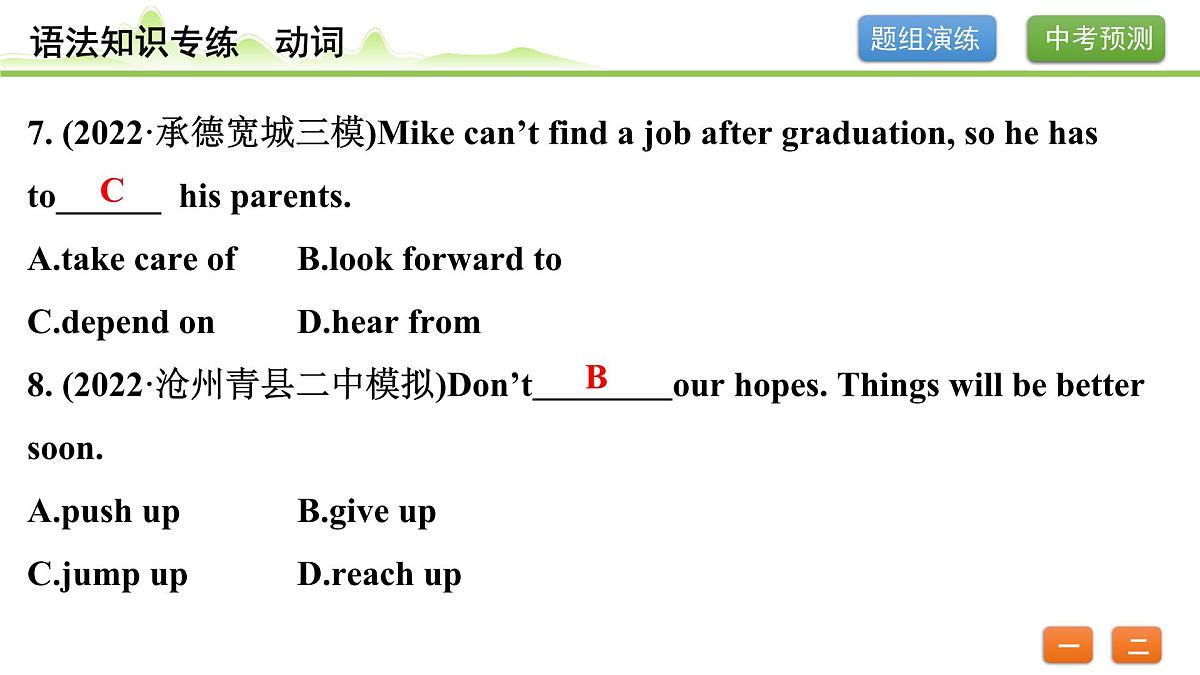 7.专题七 动词（精练册）第5页