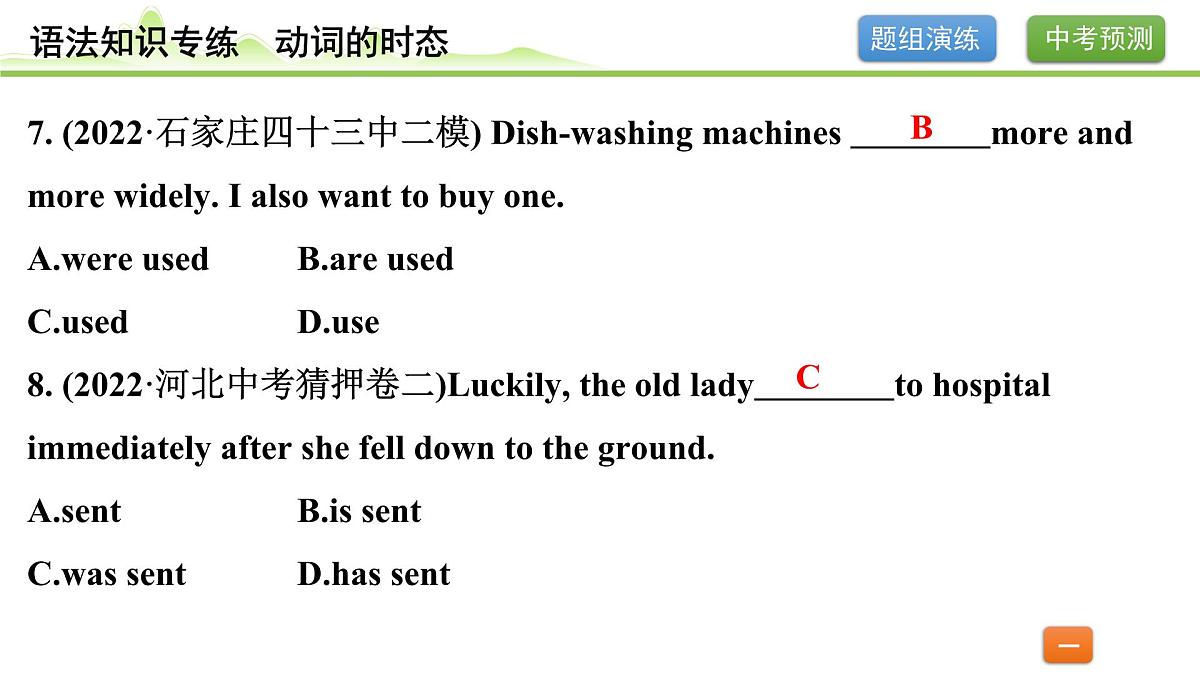9.专题九 动词的语态（精练册）第5页