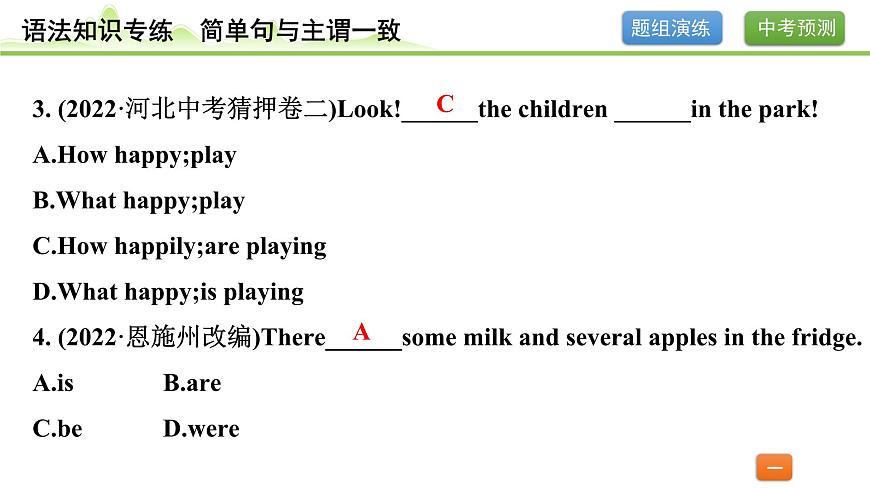 12.专题十二 简单句与主谓一致（精练册）第3页