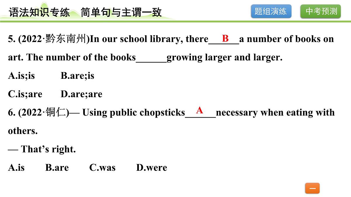 12.专题十二 简单句与主谓一致（精练册）第4页