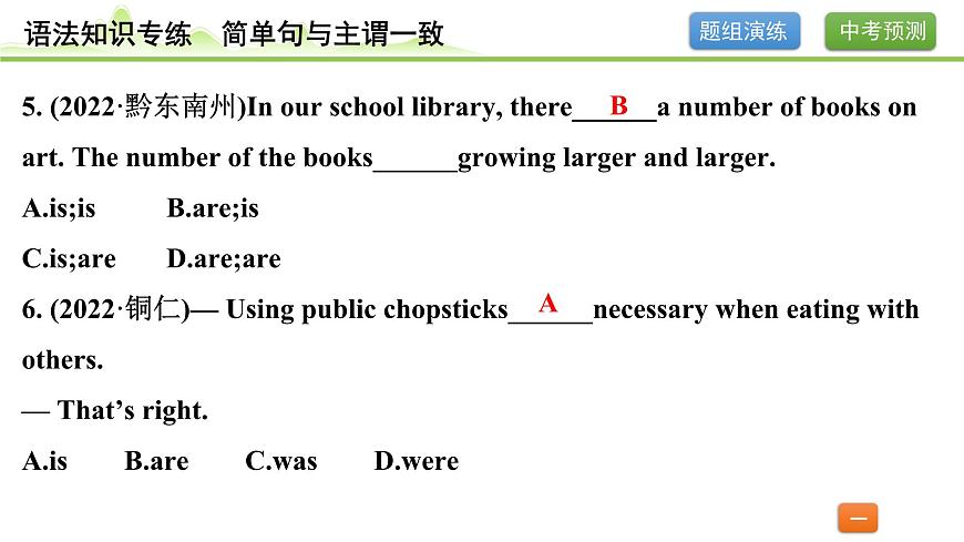 12.专题十二 简单句与主谓一致（精练册）第4页