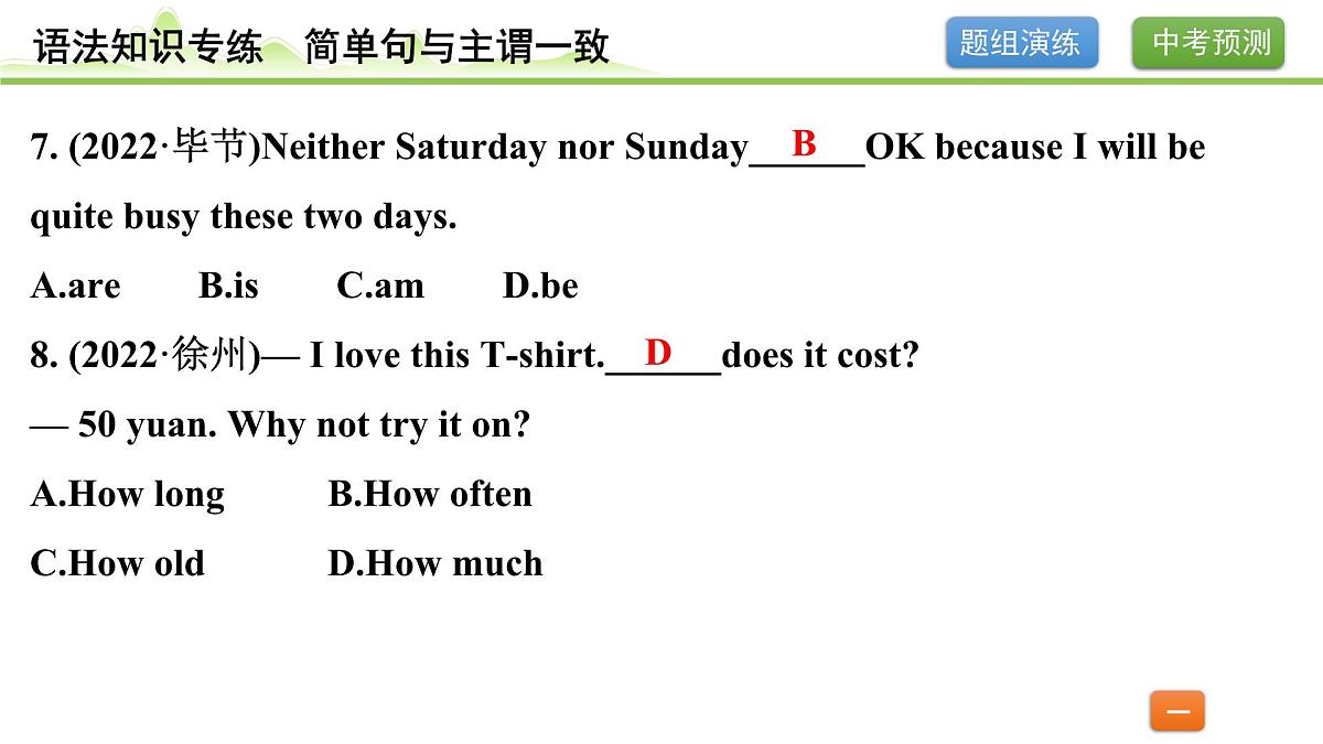 12.专题十二 简单句与主谓一致（精练册）第5页