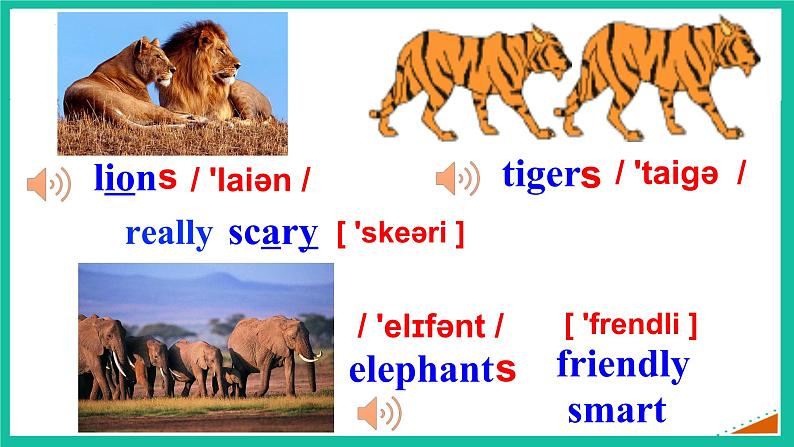 Unit 5 Section A 1a-2d课件+2023-2024学年人教版七年级英语下册+第6页