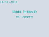 Module+8（共3课时）课件+2023-2024学年外研版英语九年级下册
