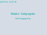 Module+6（共3課時）課件+2023-2024學年外研版英語九年級下冊
