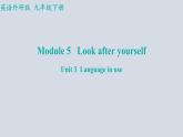Module+5（共3课时）课件+2023-2024学年外研版英语九年级下册