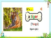 Unit 5 Why do you like pandas Section A 1a-1c 课件