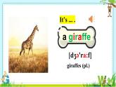Unit 5 Why do you like pandas Section A 1a-1c 课件