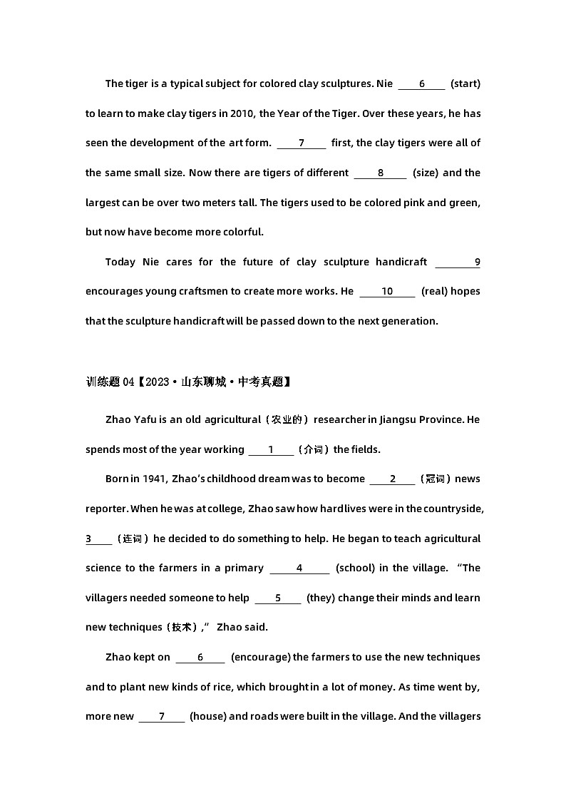 2024中考英语压轴专题训练-专题11综合填空-语法填空专练（含解析）第3页