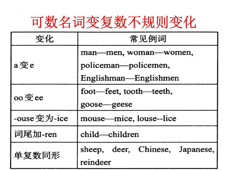 2024年中考英语复习 专项 名词课件第6页