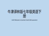 Unit3+Task+&+Self-assessment课件+2023-2024学年牛津译林版七年级英语下册