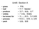 Unit5 Section A 1a-2d课件 2023-2024学年人教版英语九年级全册