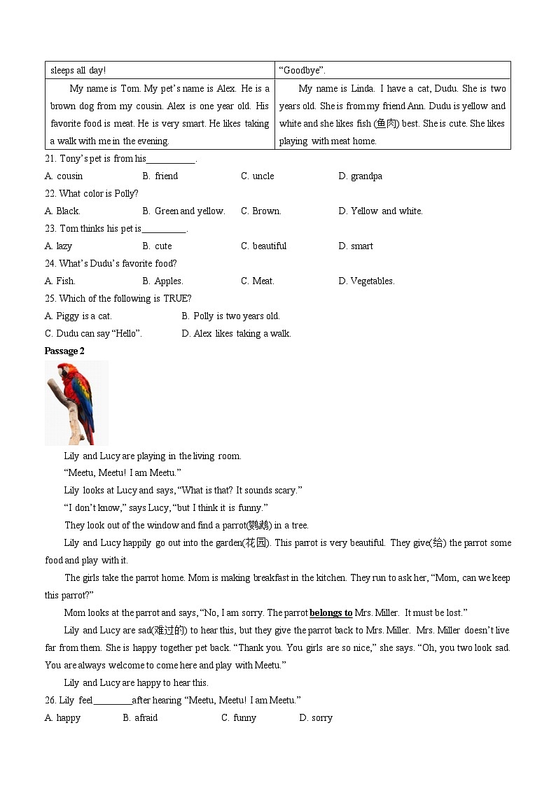 辽宁省抚顺市新抚区2022-2023学年七年级下学期期中教学质量检测英语试题03