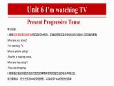 Unit6+语法复习课件+2023-2024学年人教版七年级英语下册+