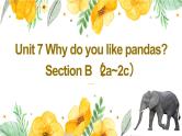 Unit 7 Why do you like pandas？Section B（2a~2c）课件