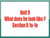 人教新目标版英语七年级下册  Unit 9 第3课时 (Section B 1a-1e)   课件+教案+导学案+分层作业
