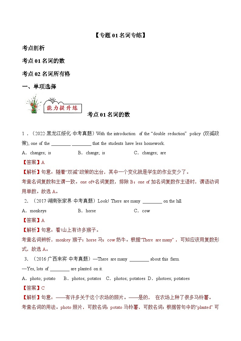 中考英语考前冲刺语法图解过关专题01 名词【练习】（含解析）第1页