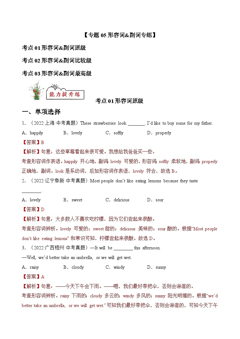 中考英语考前冲刺语法图解过关专题05 形容词&副词【练习】-2022-2023中考英语考前冲刺语法图解过关（含解析）第1页