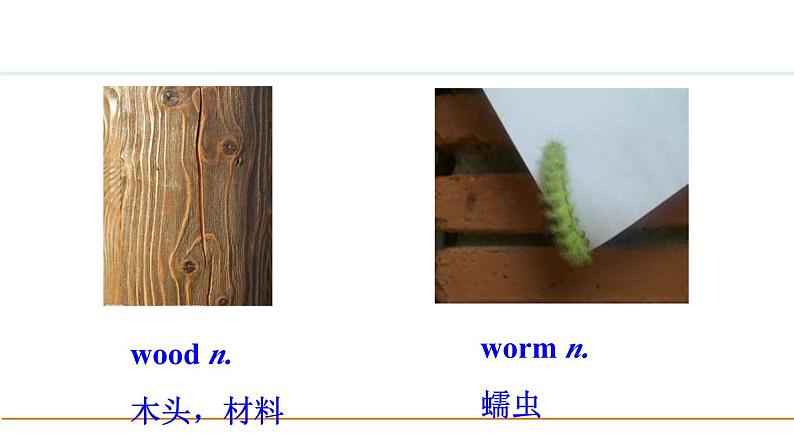 冀教版七年级英语下册Unit 3 Lesson 14课件04