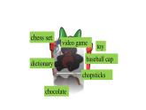 Module+11+Unit+1+課件-+2023-2024學年外研版八年級英語上冊