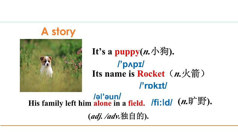 冀教版七年级英语下册Unit 8 Lesson 44课件06