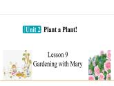 冀教版八年级英语下册Unit 2 Lesson 9课件