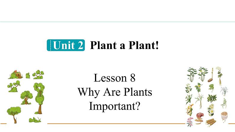 冀教版八年级英语下册Unit 2 Lesson 8课件01