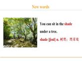 冀教版八年级英语下册Unit 2 Lesson 8课件