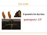 冀教版八年級英語下冊Unit 2 Lesson 12課件