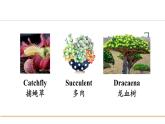 冀教版八年级英语下册Unit 2 Lesson 11课件