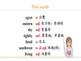 冀教版八年级英语下册Unit 2 Lesson 11课件