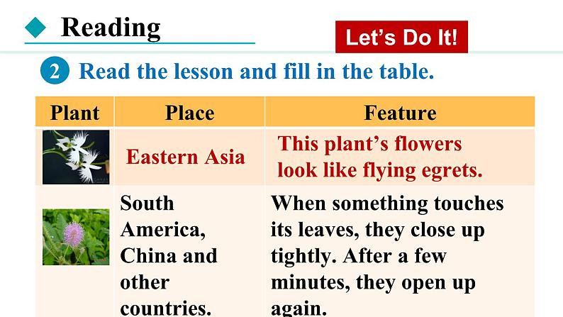 冀教版八年级英语下册Unit 2 Lesson 11课件07