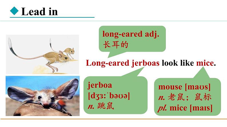 冀教版八年级英语下册Unit 3 Lesson 14课件03