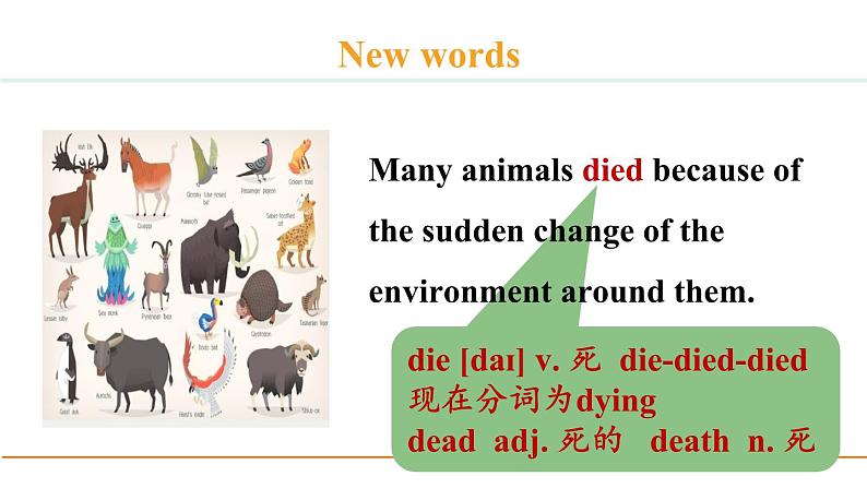 冀教版八年级英语下册Unit 8 Lesson 47课件07