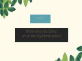 人教版英语八年级下册 Unit5 What were you doing when the rainstorm came-Section B课件