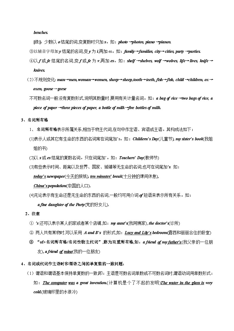 突破01 名词-最新中考英语一轮复习语法知识专项突破(通用版)第2页