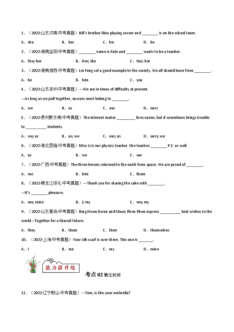 专题02 代词【练习】-2023年中考英语考前冲刺语法图解过关（原卷版）第2页