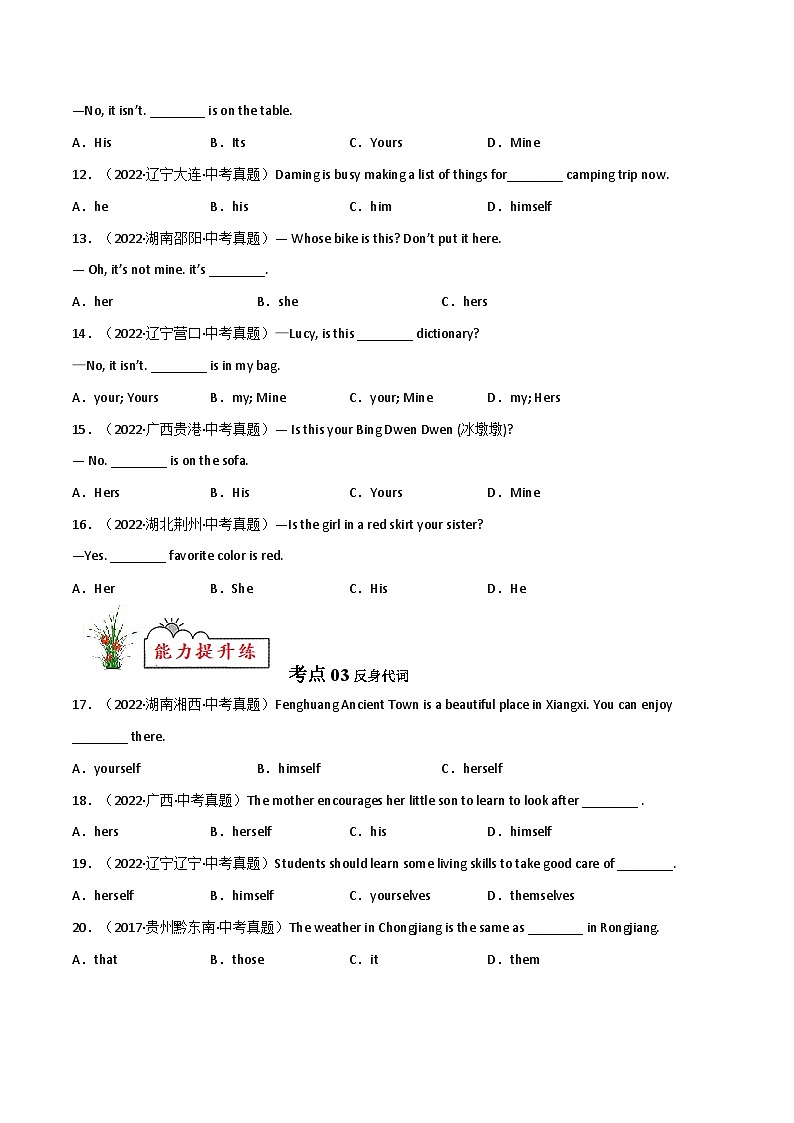 专题02 代词【练习】-2023年中考英语考前冲刺语法图解过关（原卷版）第3页