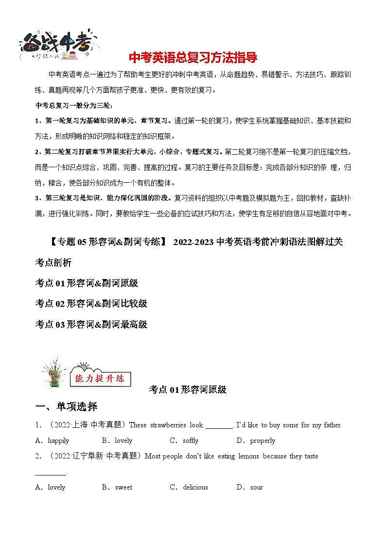 专题05 形容词&副词【练习】-2022-2023中考英语考前冲刺语法图解过关（原卷版）第1页