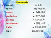 +Lesson9課件-+2023-2024學(xué)年英語冀教版九年級全冊